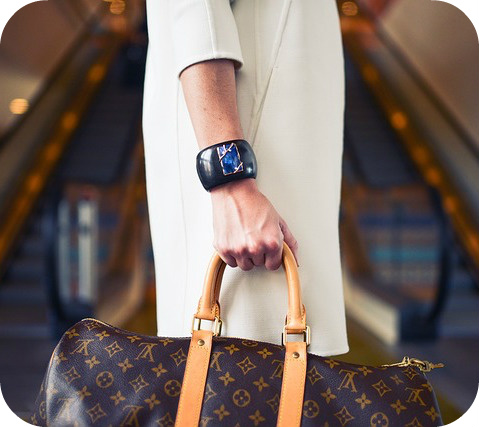 Louis Vuitton Loses Parody Bag Case